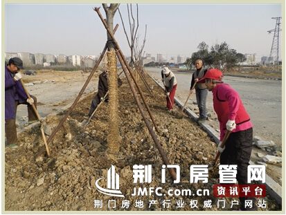 荆门房管网