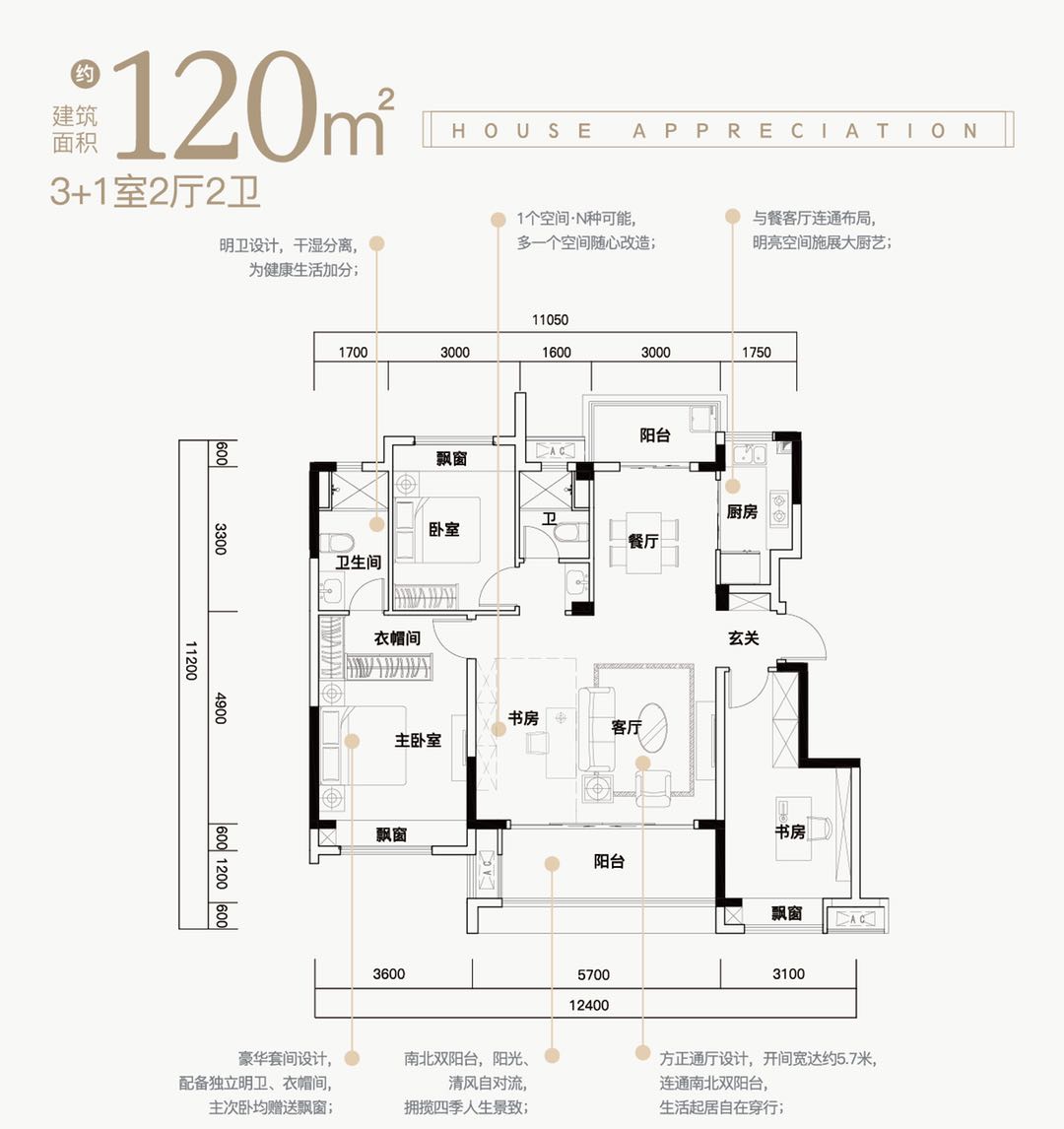 D户型