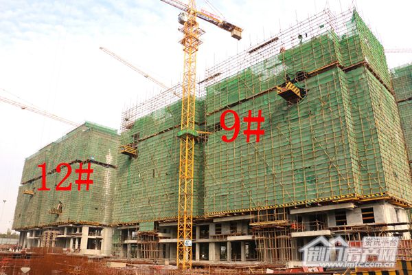 12、9.JPG