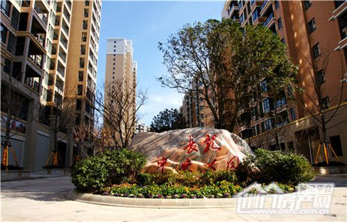 标志.jpg