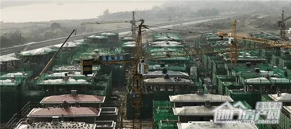 图片8.jpg