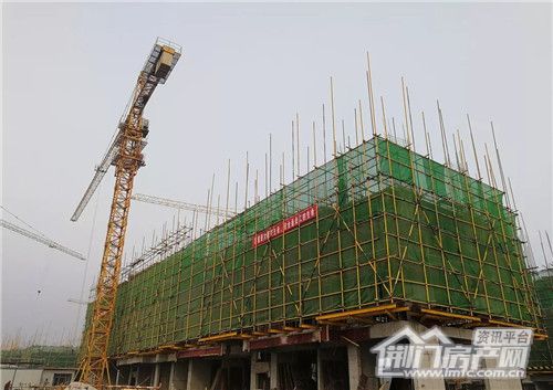 图片6.jpg