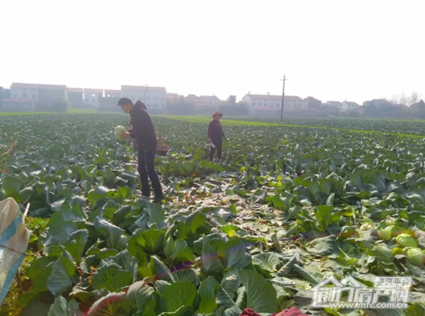 公园3326员工走进现场.png