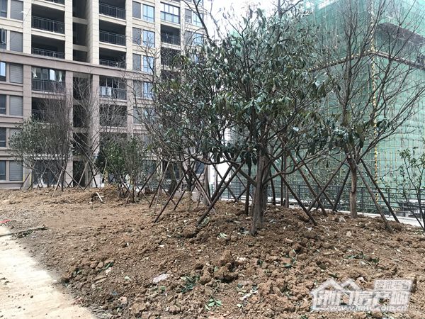 微信图片_20181224094702.jpg