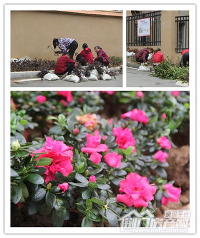 图片6.jpg