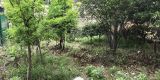 微信图片_201905231504055
