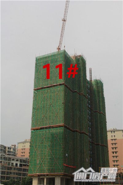 长龙·中央公园四期六月工期11号楼.jpg
