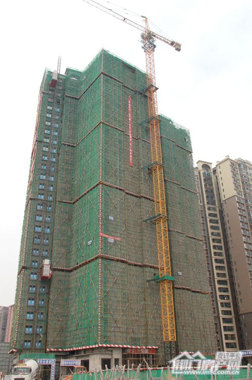 1561618725590848.jpg