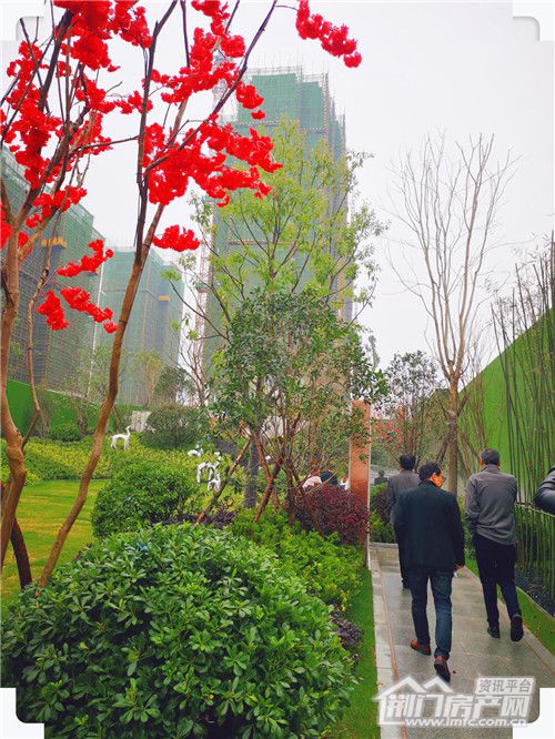 图片9.jpg