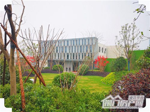 图片14.jpg