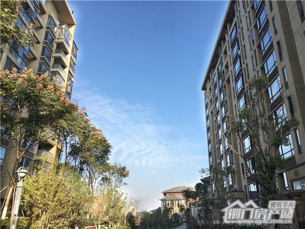 小区实景图.jpg