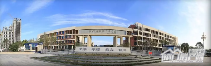 Image 42.png