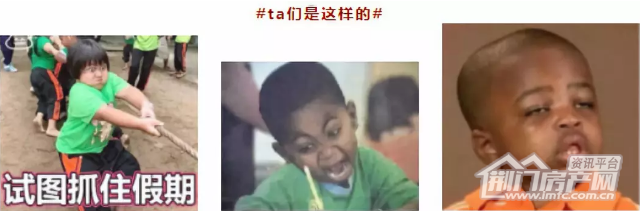 Image 13.png