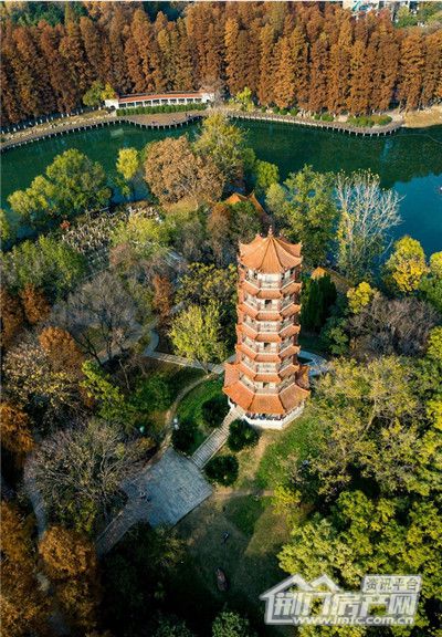 图片17.jpg