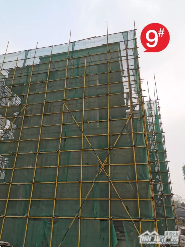 Image 9.png