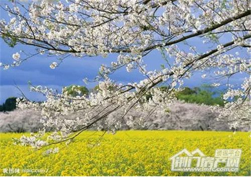 中央华府3月20复工.jpg