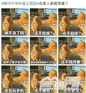10.png