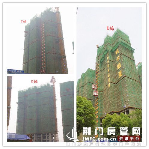 阿卡迪亚CD栋实景