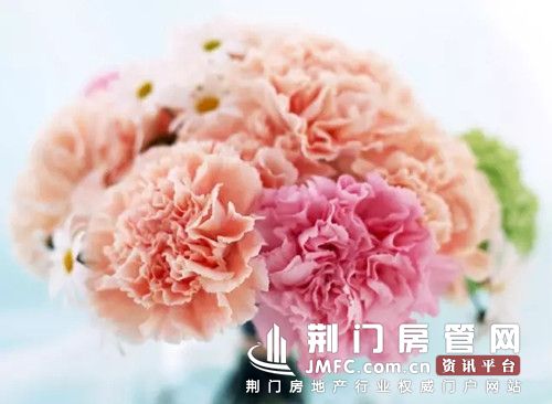 2015母亲节