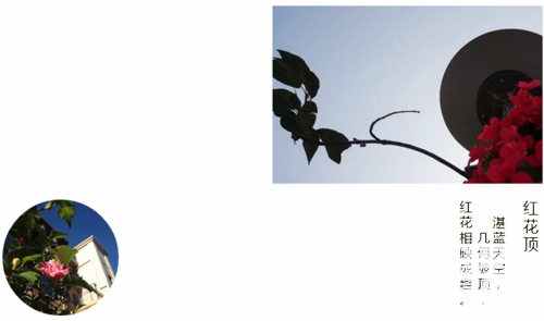 9.png