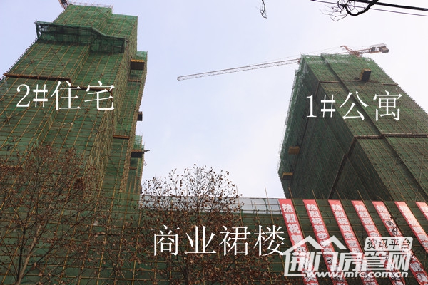 照片 002_副本_副本.jpg