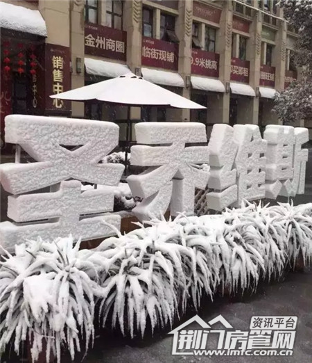 雪景