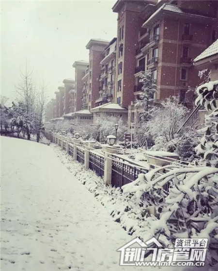 雪景