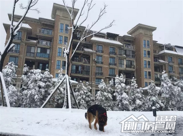 雪景