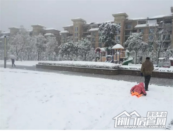 雪景