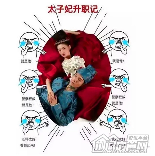 太子妃升职记