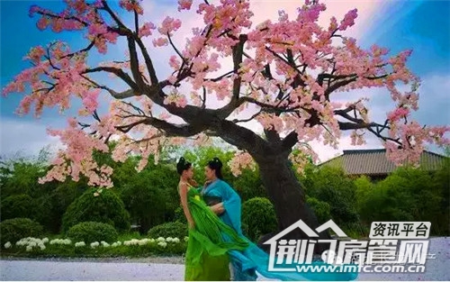 太子妃升职记
