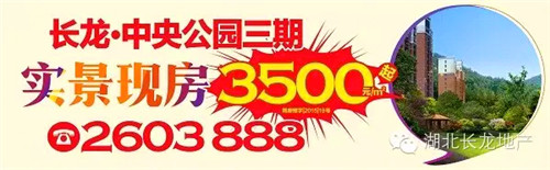 长龙·中央公园