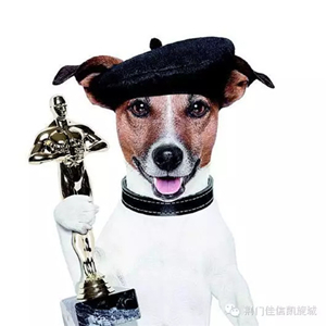 狗狗