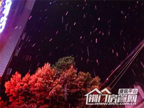 下雪
