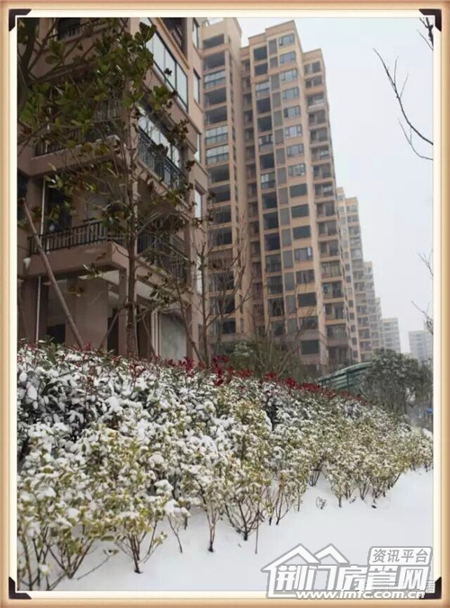 雪景