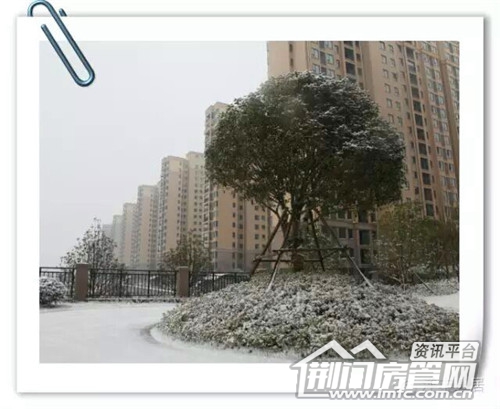 雪景