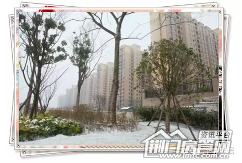 雪景