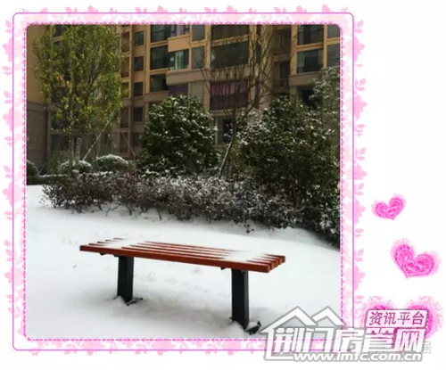 雪景