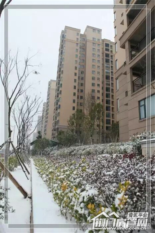 雪景