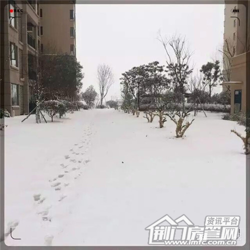 雪景