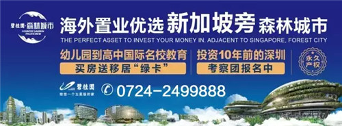 海外置业