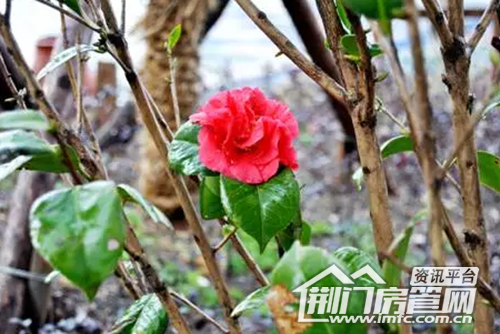 ??1602230939_5.png