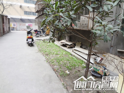绿地变菜地
