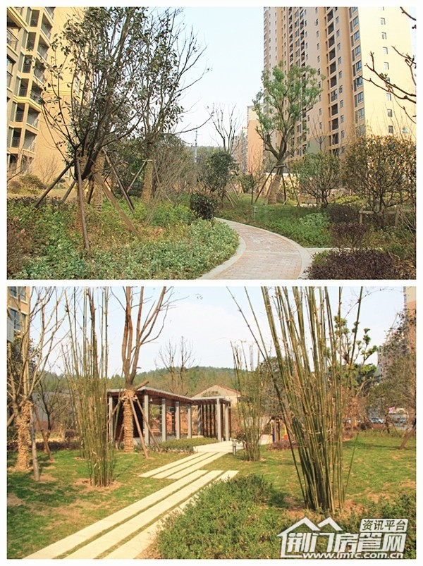 长龙·中央公园