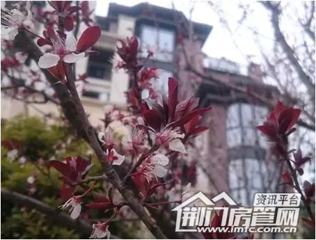 荆南熙园