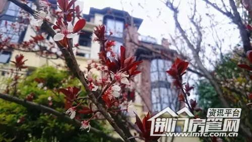 荆南熙园