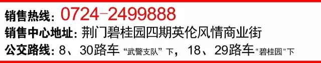17.webp.jpg
