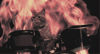 0 (4).gif