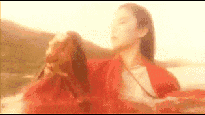 0 (5).gif