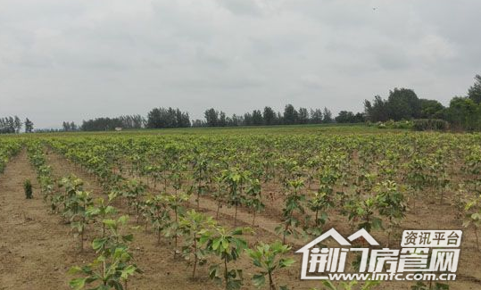 荆门贫困村